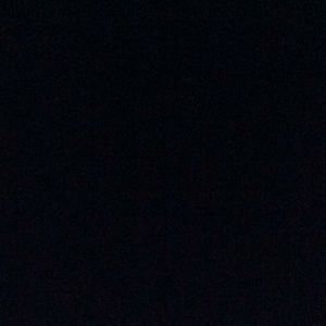 Meet your Posher, Dorothy